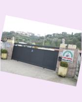 Ingresso